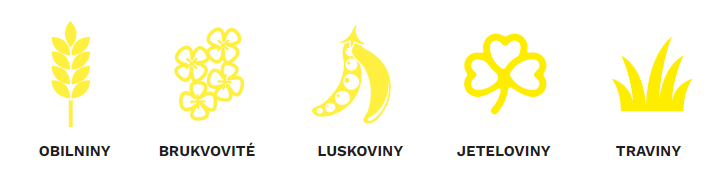 33_2.png