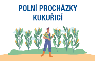 POLNÍ PROCHÁZKY KUKUŘICÍ | 2024